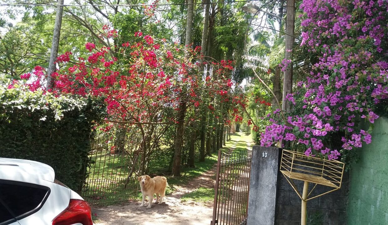 WhatsApp Image 2025-04-22 at 12.33.55 (1)