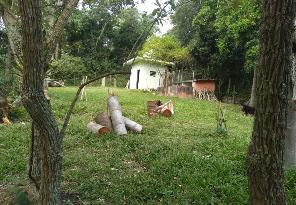 WhatsApp Image 2025-04-22 at 17.50.00