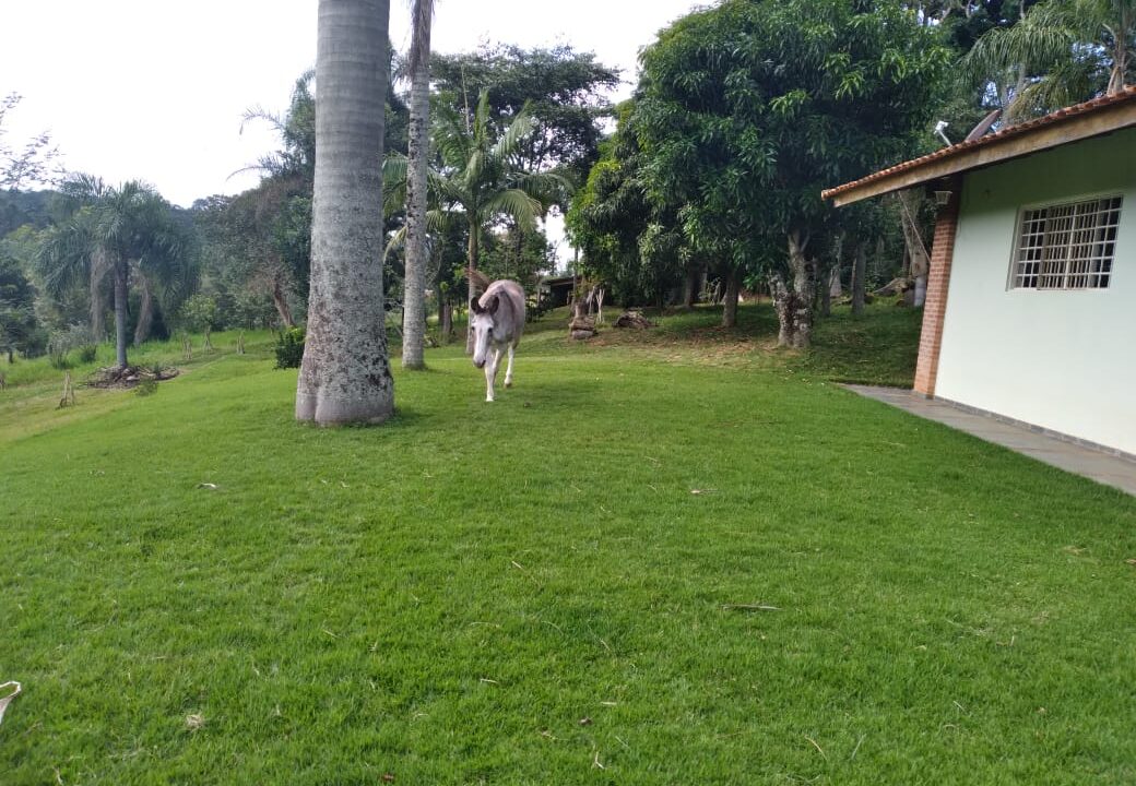 WhatsApp Image 2025-04-22 at 17.50.08 (1)