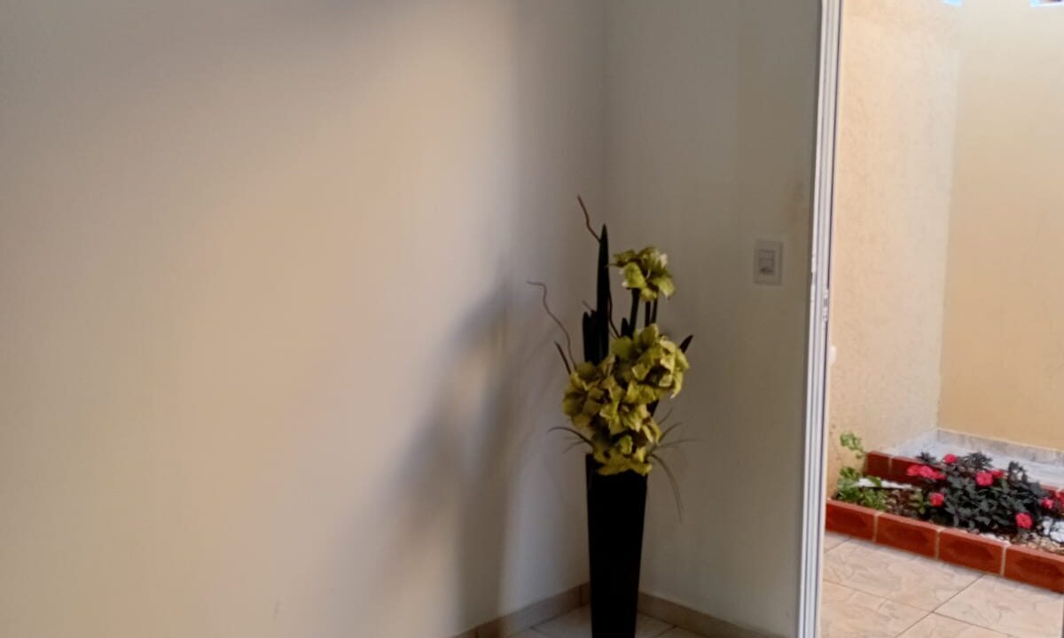 WhatsApp Image 2025-11-04 at 15.42.15