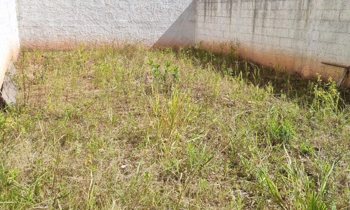 WhatsApp Image 2026-01-30 at 13.57.08 (5)