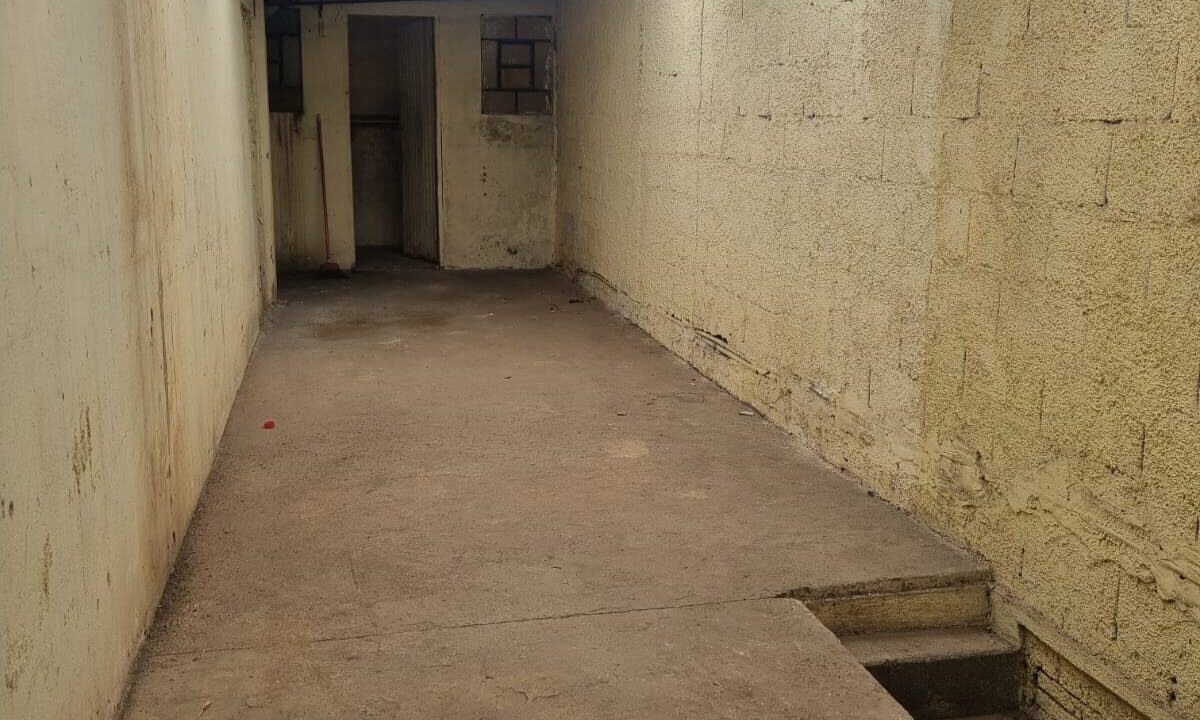 WhatsApp Image 2026-02-02 at 16.23.28 (1)