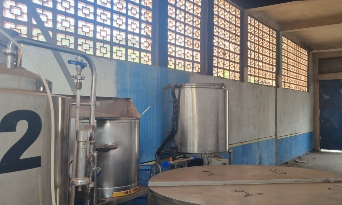 WhatsApp Image 2026-02-02 at 16.23.28 (2)