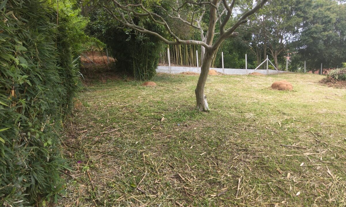 WhatsApp Image 2026-02-03 at 11.37.21 (1)