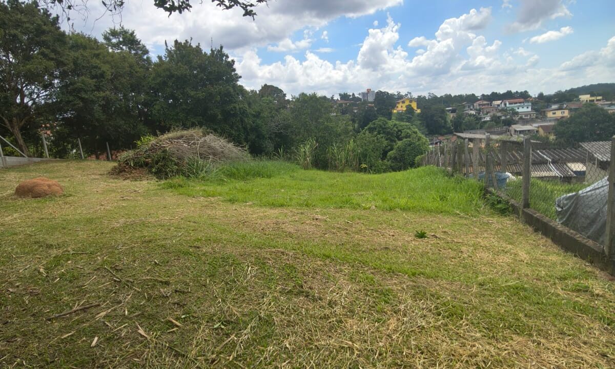 WhatsApp Image 2026-02-03 at 11.37.21 (2)