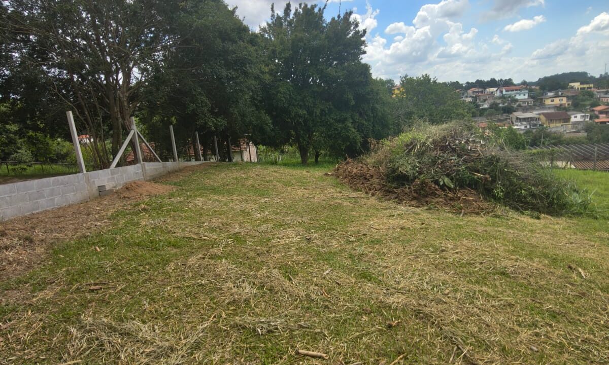 WhatsApp Image 2026-02-03 at 11.45.55