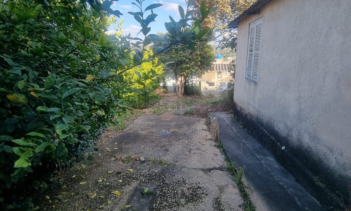 WhatsApp Image 2026-02-03 at 14.55.25