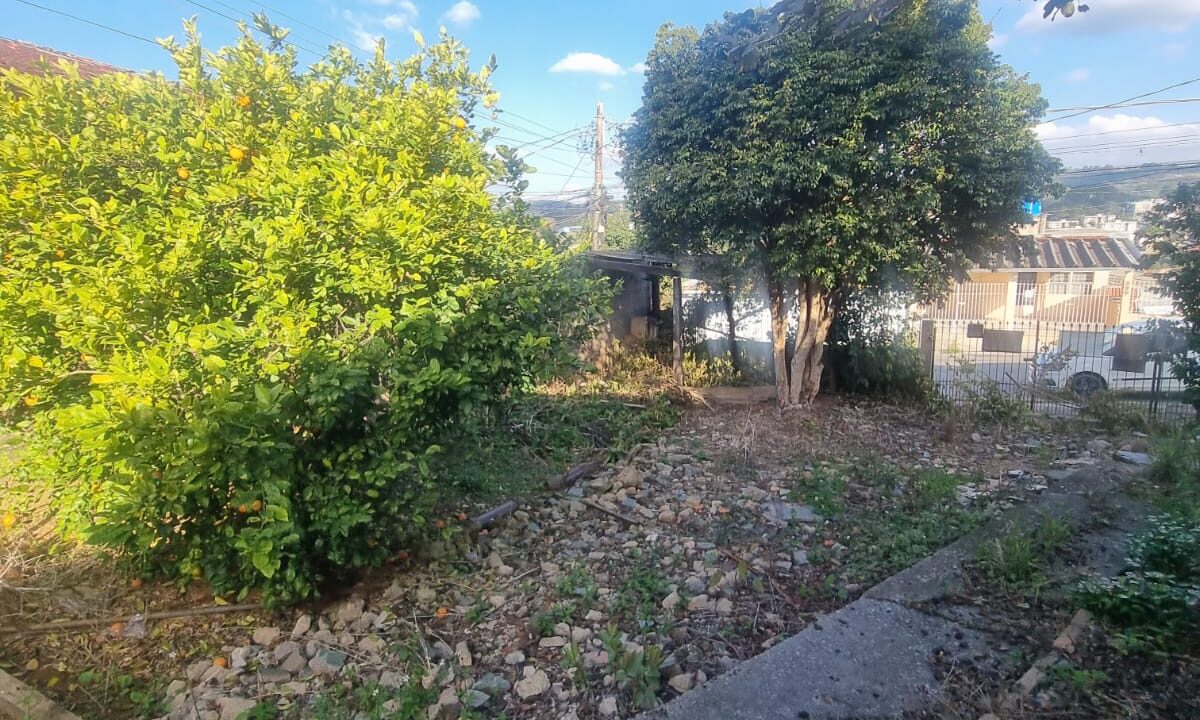 WhatsApp Image 2026-02-03 at 14.55.26 (1)