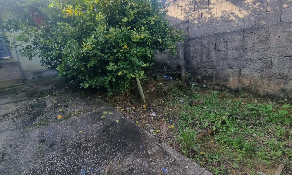 WhatsApp Image 2026-02-03 at 14.55.26